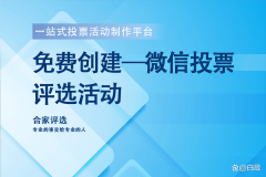 <b>微信小法式倡议投票勾当的操做指南</b>